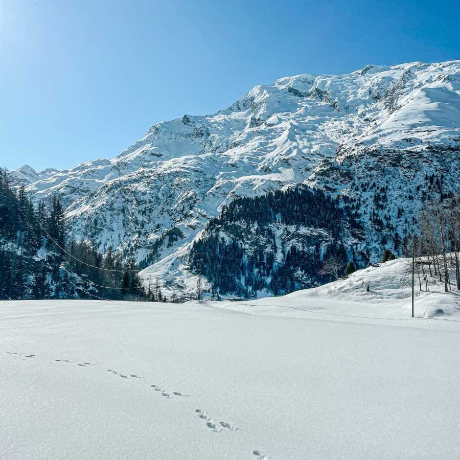 Nouveau projet-19 Paysage du Monal