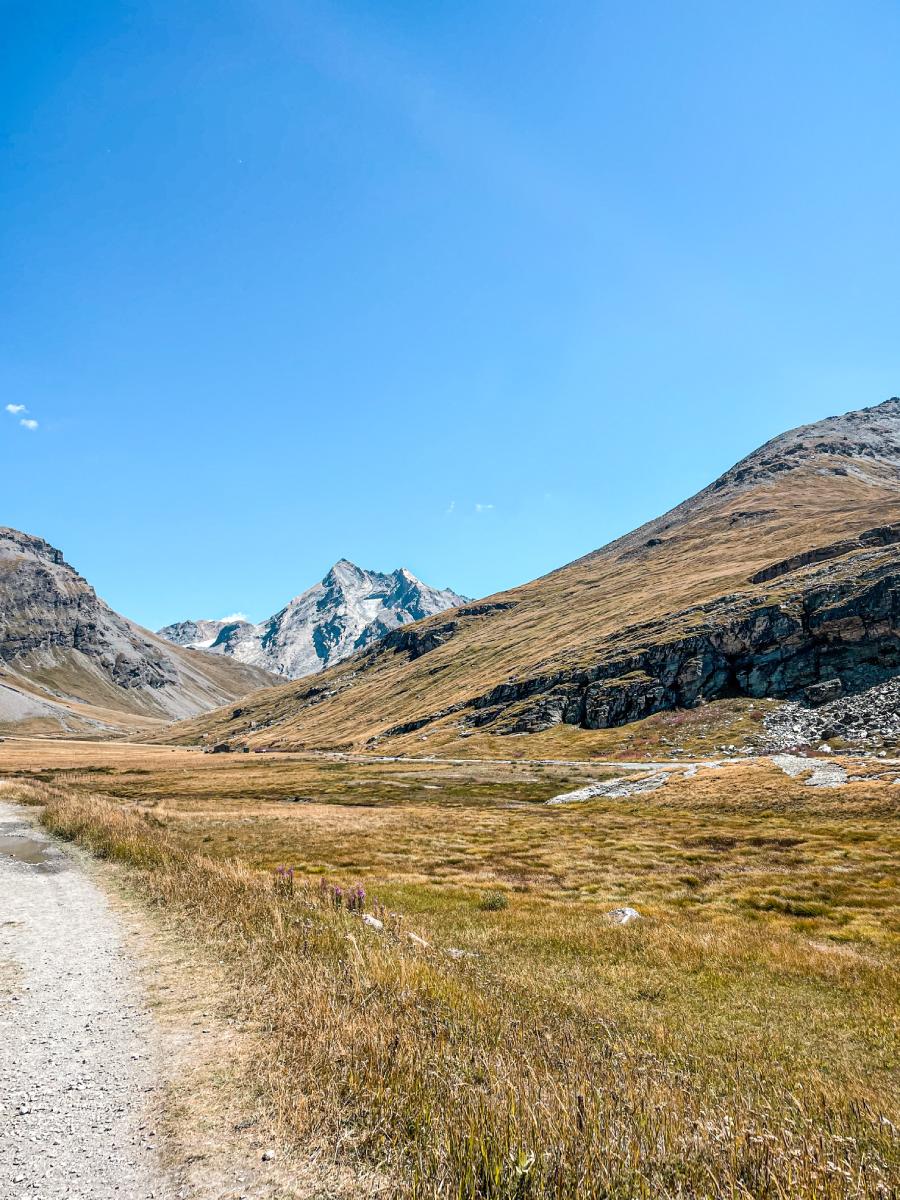 Chemin sassiere