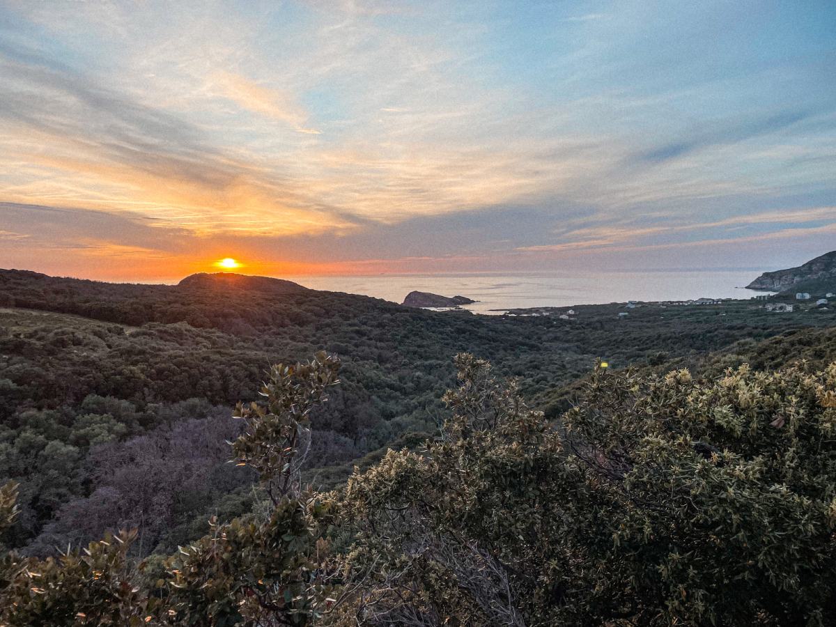 SUNSET CAP CORSE Spot van avec Sunset